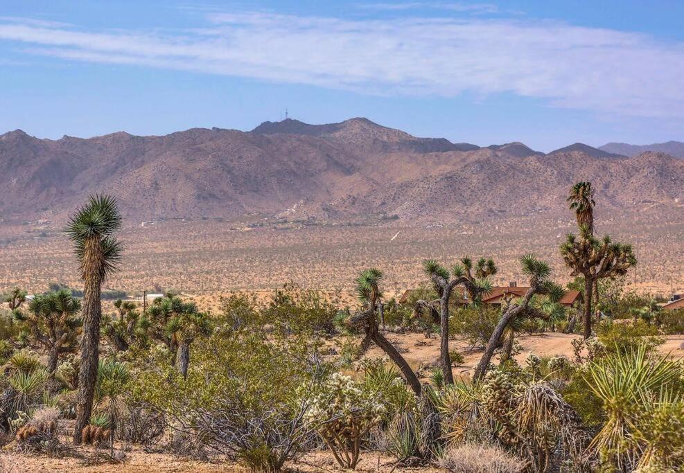Jt Cottage Yucca Valley Eksteriør billede